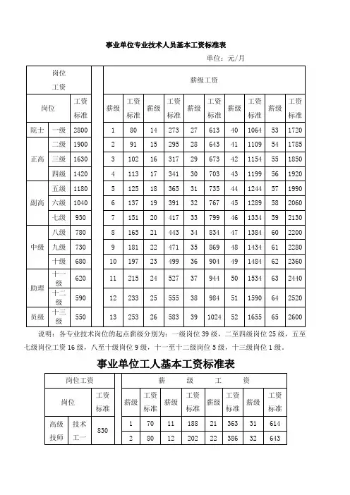事业单位专业技术人员基本工资标准表