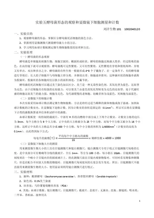 实验五酵母菌形态的观察和显微镜下细胞测量和计数