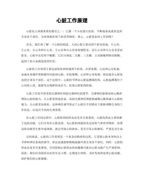 心脏工作原理