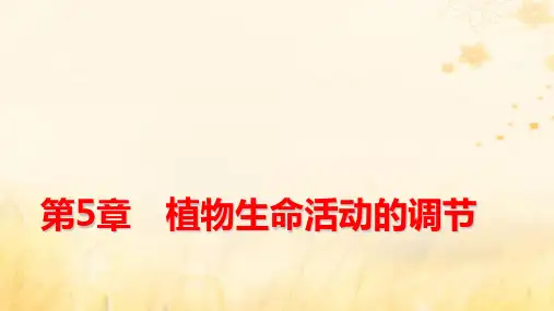 新教材适用高中生物第5章第4节环境因素参与调节植物的生命活动pptx课件新人教版选择性必修1