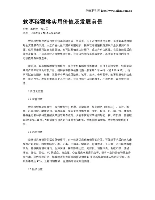 软枣猕猴桃实用价值及发展前景