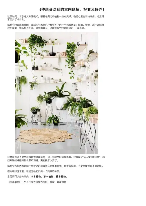 8种超受欢迎的室内绿植，好看又好养！