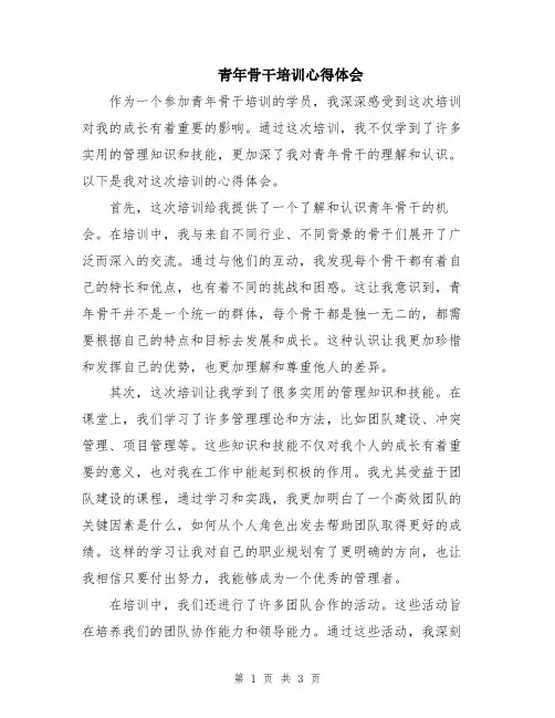 青年骨干培训心得体会