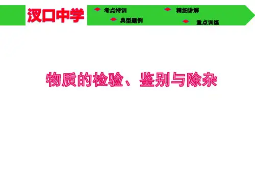 人教版九年级化学 物质的检验、鉴别与除杂(共29张PPT)