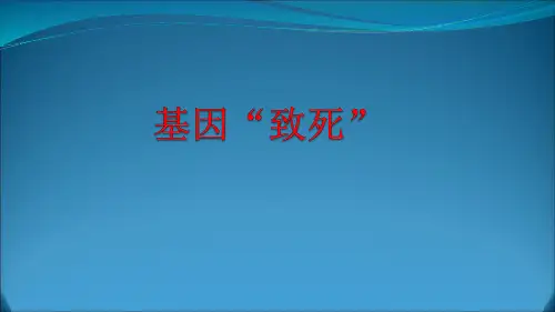 高三遗传专题基因致死