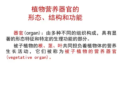 高中生物竞赛课件：第二节：植物的营养器官——根