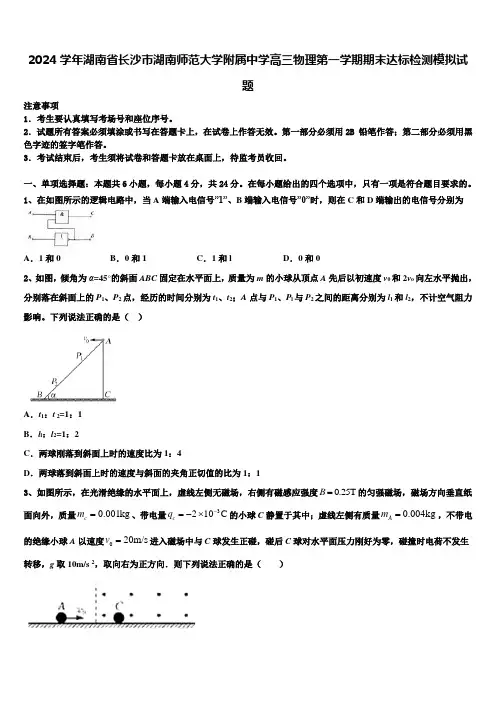 2024学年湖南省长沙市湖南师范大学附属中学高三物理第一学期期末达标检测模拟试题含解析