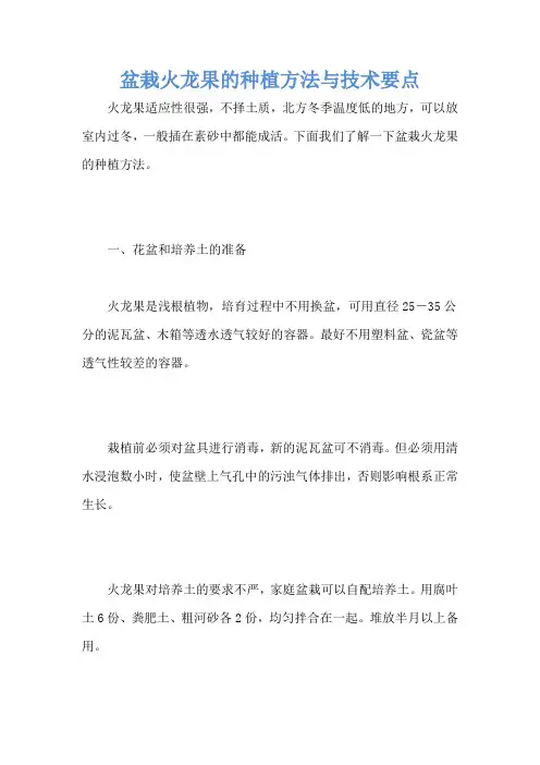 盆栽火龙果的种植方法与技术要点