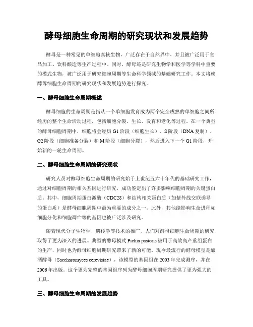 酵母细胞生命周期的研究现状和发展趋势