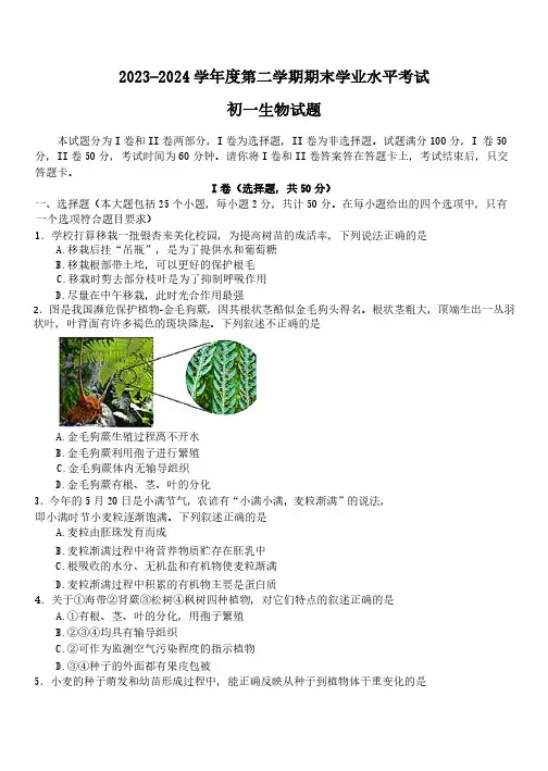 山东省烟台市蓬莱区(五四制)2023-2024学年六年级下学期期末生物试题(含答案)