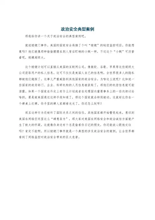 政治安全典型案例