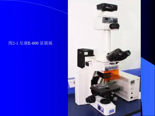 w.03.细胞生物学研究方法-幻灯片