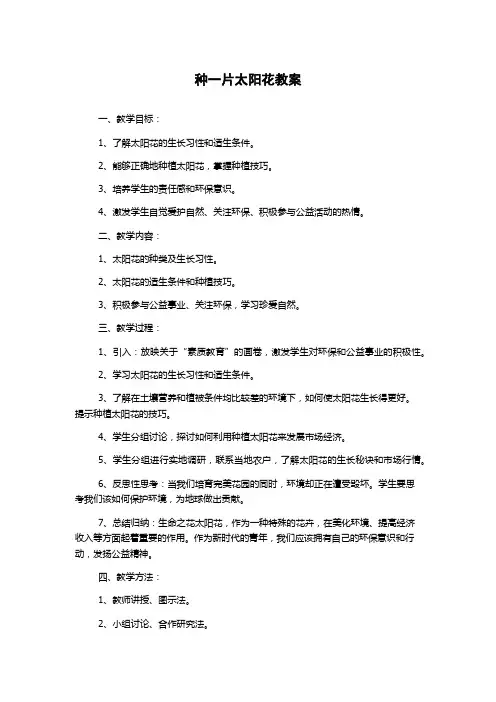 种一片太阳花教案