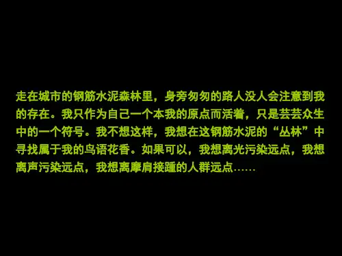 AAAA级旅游景区旅游地产策划案