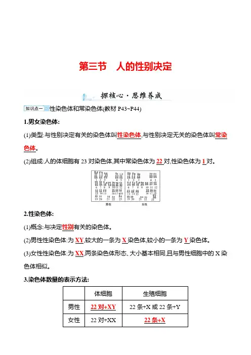 苏教版生物 八年级下册 第8单元 第二十二章 第三节 人的性别决定 学案(教师版)