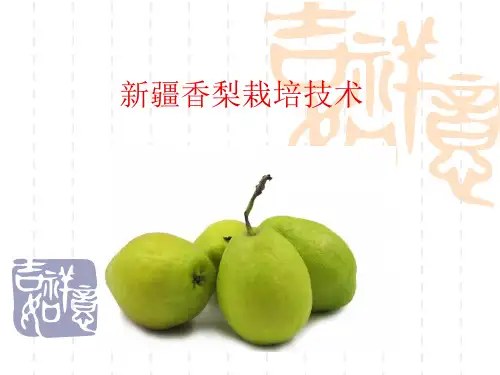 新疆香梨高产栽培技术