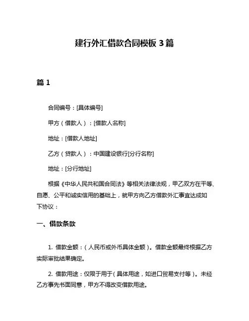 建行外汇借款合同模板3篇