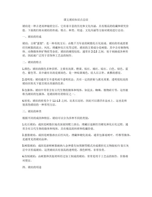 课文琥珀知识点总结