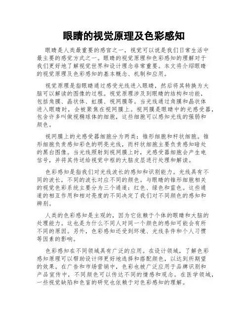 眼睛的视觉原理及色彩感知