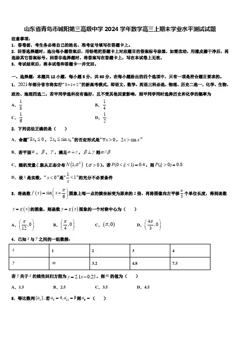 山东省青岛市城阳第三高级中学2024学年数学高三上期末学业水平测试试题含解析