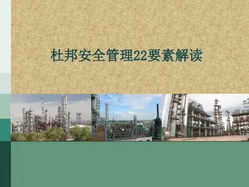 杜邦22要素解读465
