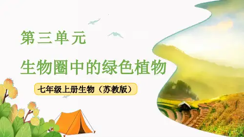《植物的呼吸作用》PPT课件 苏教版优质