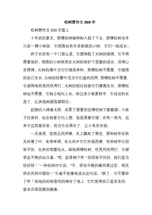 松树赞作文800字