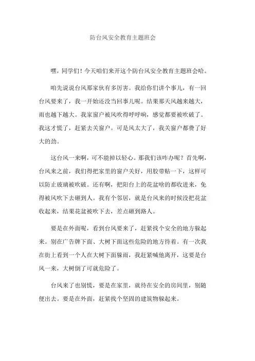 防台风安全教育主题班会