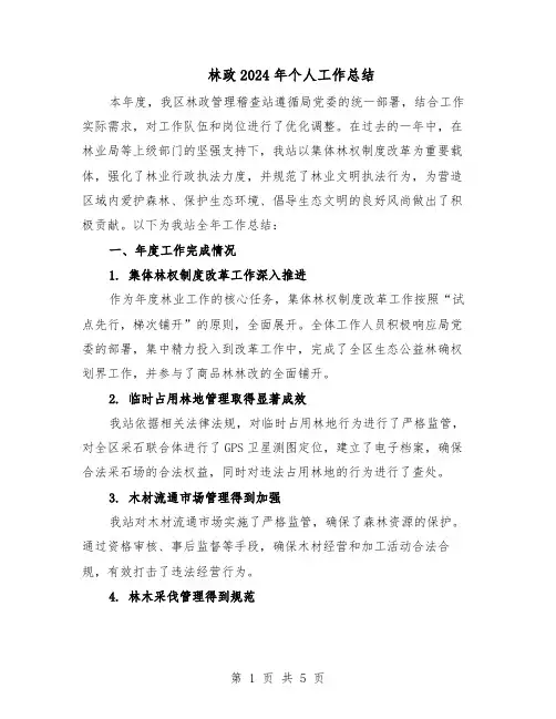 林政2024年个人工作总结（二篇）