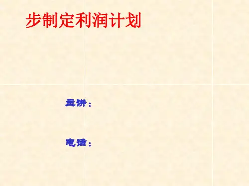 创业第八步制定利润计划(PPT 60张)
