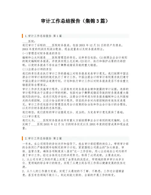 审计工作总结报告(集锦3篇)