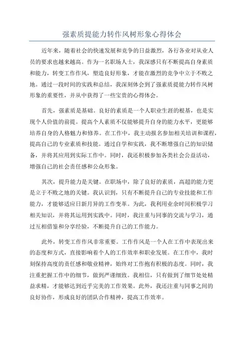 强素质提能力转作风树形象心得体会