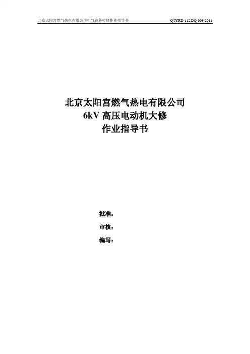 6kV高压电动机大修作业指导书