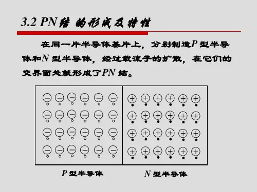 PN结的形成及特性.ppt