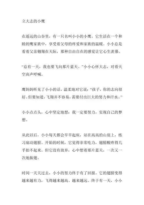 立大志的小鹰故事