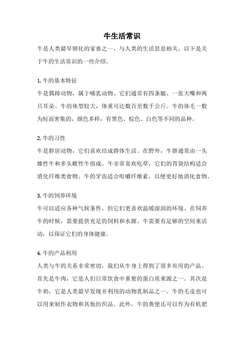 牛生活常识