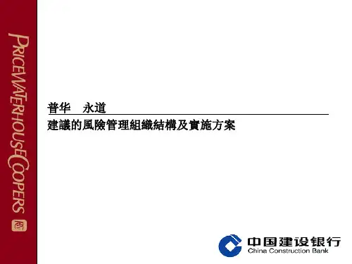 普华永道中国建设银行风险管理组织结构及实施方案方案