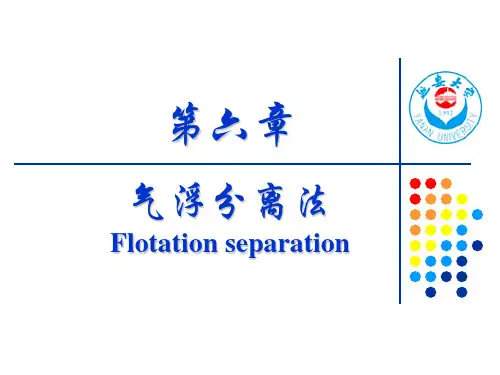 第六章气浮分离法..