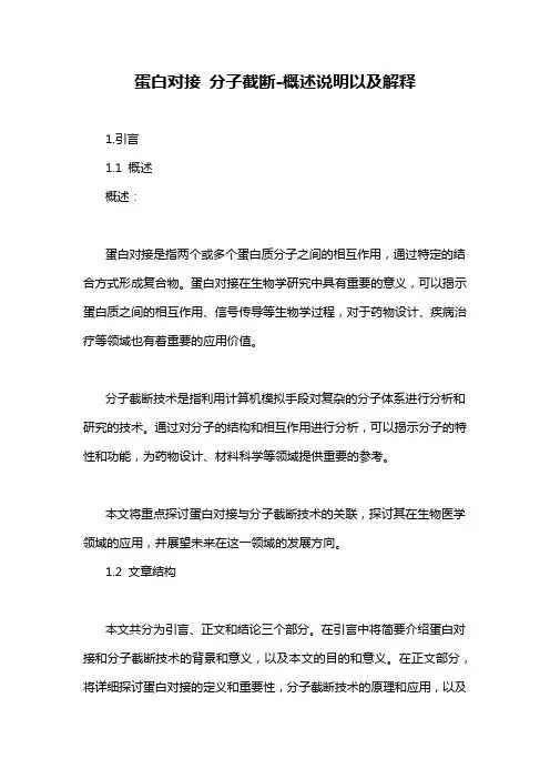蛋白对接 分子截断-概述说明以及解释