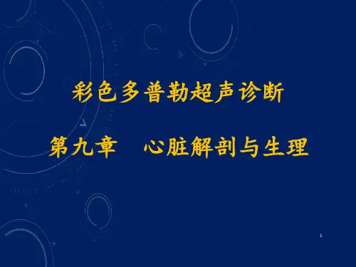 心脏解剖PPT学习课件