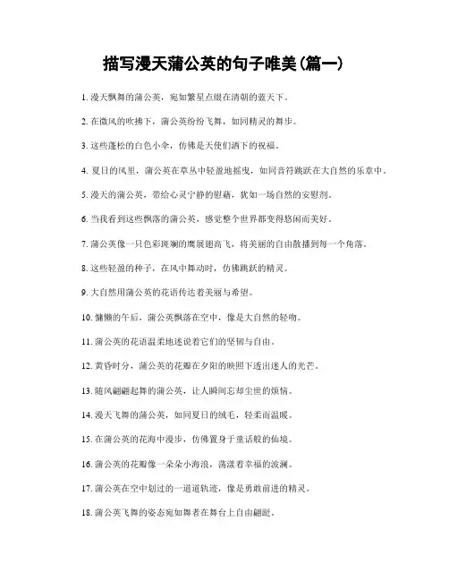 描写漫天蒲公英的句子唯美(精选2篇)
