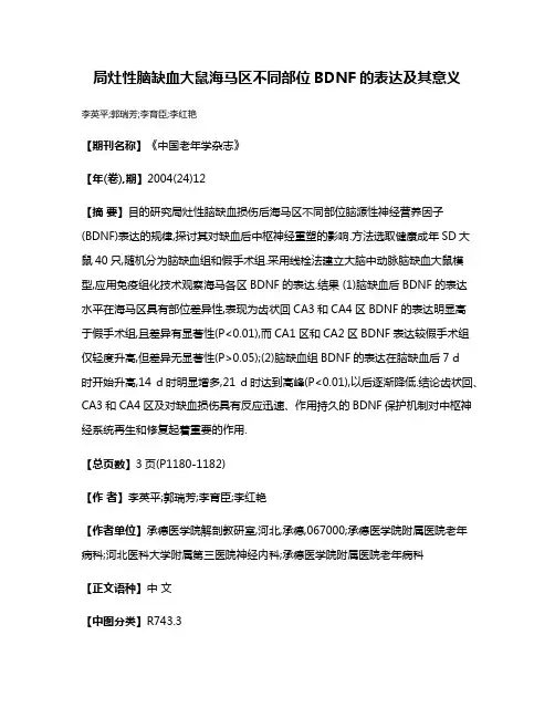 局灶性脑缺血大鼠海马区不同部位BDNF的表达及其意义