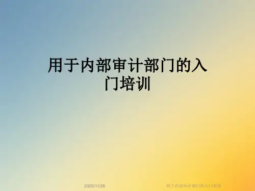 用于内部审计部门的入门培训