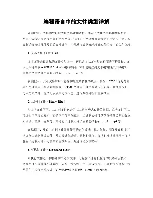 编程语言中的文件类型详解