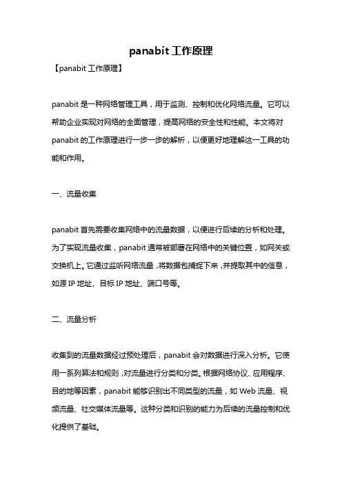 panabit工作原理