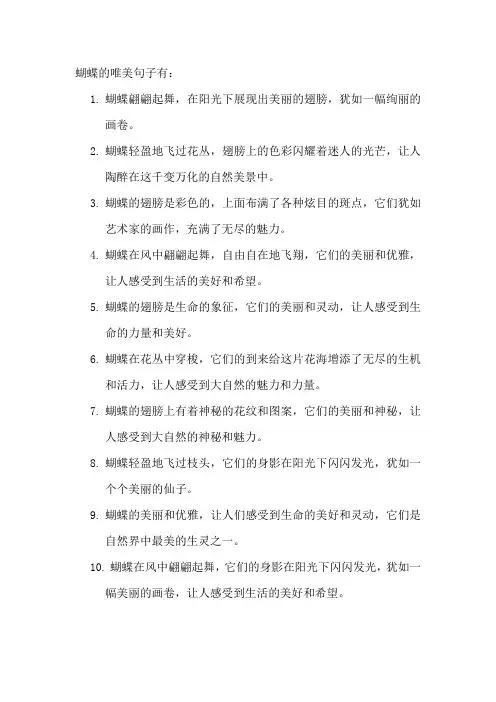 蝴蝶的唯美句子