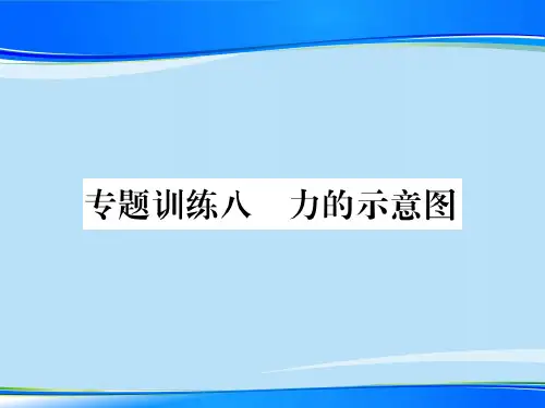 第六章  专题训练八 力的示意图—2020秋沪科版八年级物理上册课堂作业课件