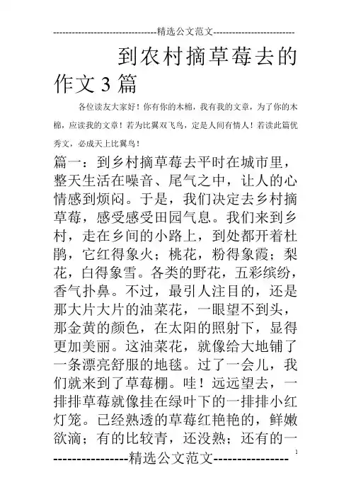 到农村摘草莓去的作文3篇_0