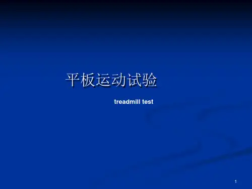 平板运动试验PPT幻灯片课件