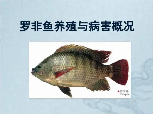 罗非鱼养殖与病害